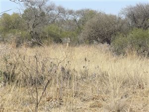 2.9 ha Land available in Buffelsdrift AH