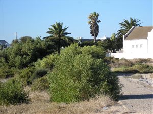 607 m² Land available in Golden Mile