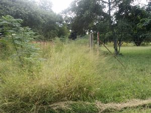 703 m² Land available in Louis Trichardt