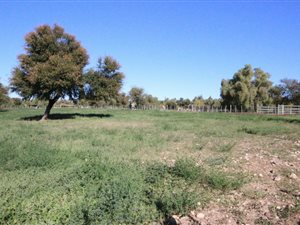 1.6 ha Land available in Oudtshoorn