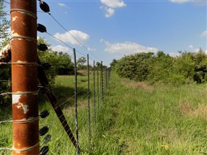 9 ha Farm in Boschkop