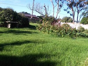 2.2 ha Land available in Greenbushes