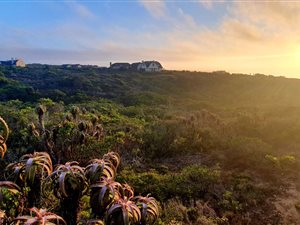 2334 m² Land available in Springerbaai Eco Estate