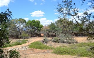 4850 m² Land available in Zandspruit Bush and Aero Estate