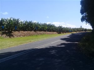 1470 m² Land available in Ramsgate