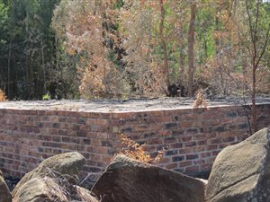 1350 m² Land available in Belfast
