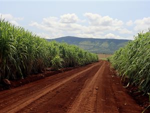 574.2 ha Farm in Hluhluwe
