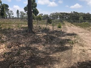 8.5 ha Land available in Greenbushes
