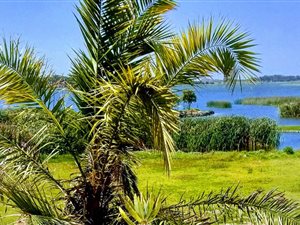 1114 m² Land available in Grassy Park
