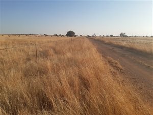 1031 ha Farm in Brandfort