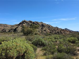 400 ha Farm in Ceres