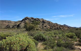 400 ha Farm in Ceres
