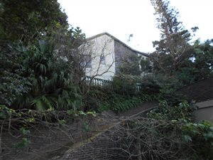 3 Bed House in Cato Manor