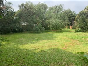 1200 m² Land available in Oaklands
