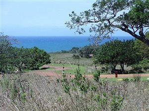 2225 m² Land available in Port Edward
