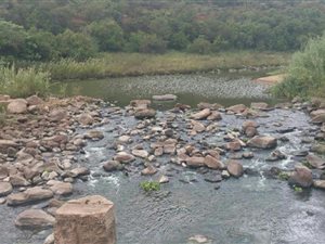 1000 m² Land available in Presidentsrus