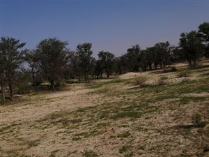 5000 ha Land available in Upington