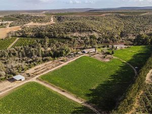 11.4 ha Farm in Addo