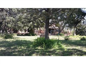 10.5 ha Farm in Onderstepoort