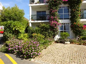 2 Bed Apartment in Scott Estate