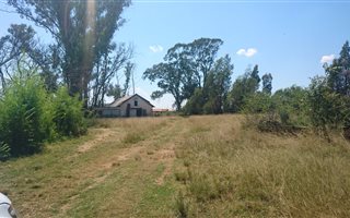 1240 ha Farm in Viljoenskroon