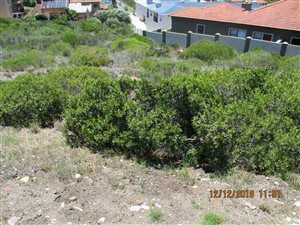 845 m² Land available in Island View