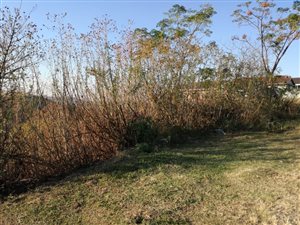 1006 m² Land available in Umzinto