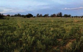 4.3 ha Land available in Quaggafontein