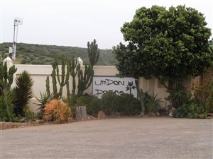 1000 m² Land available in Port Alfred