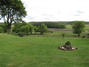 47 ha Farm in Tweedragt