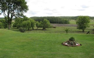 47 ha Farm in Tweedragt