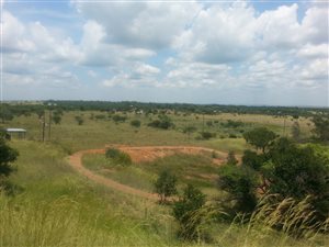 8.9 ha Smallholding in Grootvlei