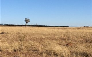 87 ha Farm in Mountain View