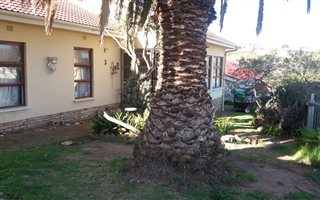 4 Bedroom House in Dana Bay