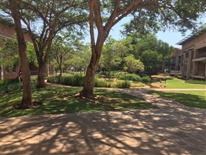 478.359985351563 m² Office Space in Centurion CBD