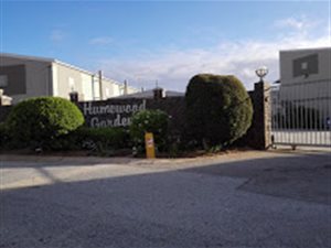 Studio apartment in Humewood