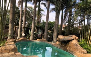 5 Bedroom House in Willard Beach
