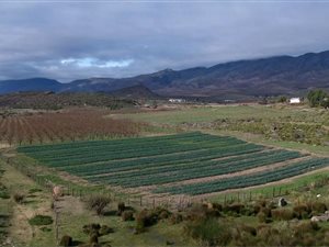 430 ha Farm in Montagu