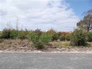 875 m² Land available in Franskraal