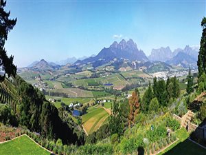 5 ha Farm in Stellenbosch Agricultural
