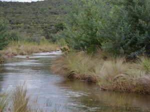 2644 ha Farm in Mookgophong (Naboomspruit)