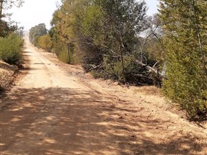 8.6 ha Farm in Meyerton
