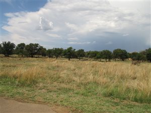1 ha Land available in Leeuwfontein