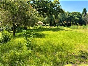 2500 m² Land available in Atholl