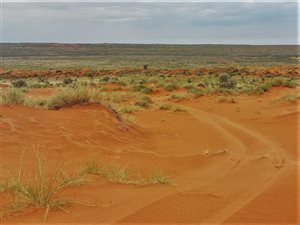 11495 ha Farm in Upington