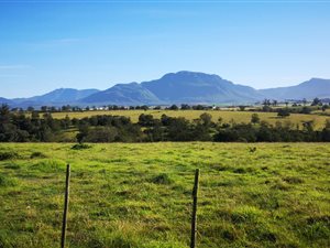 119 ha Farm in George Rural