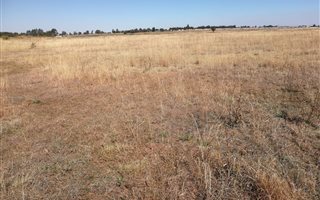 16.7 ha Farm in De Deur