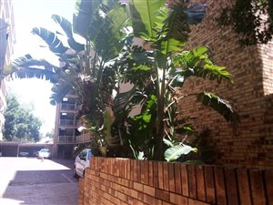 2 Bed Apartment in Silverton