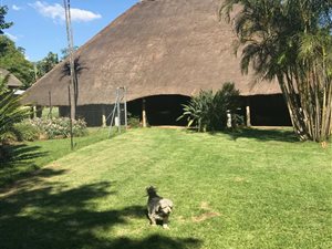 20 ha Land available in Louis Trichardt
