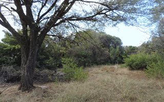 562 m² Land available in Bronberg